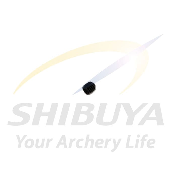 SHIBUYA SR-6 M3セットネジ黒